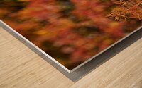 Kingfisher in Autumn Bokeh Wood print