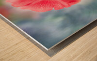 Red Hollyhock Wood print