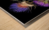 French Artichokes   Wood print