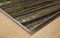gDAV 8346 Wood print