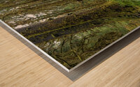 gcwDAV 5295 Wood print