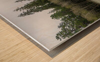 gcwDAV 5527 Wood print