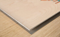 Agra India City Skyline Print Wood print