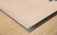 Tianjin China City Skyline Print Wood print