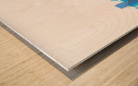 Munich Germany City Skyline Print Wood print