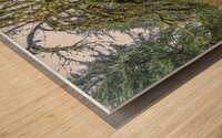 gDAV 8391 Wood print