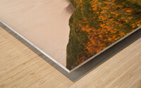 Vestige du glacier Wood print