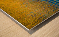 Blue Waters Golden Grass  Merritt Island National Wildlife Refuge X101 Wood print