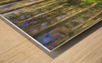 Cypress Trees and Ferns X106 Wood print