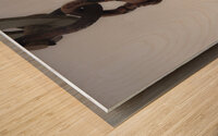 Pulley Wood print
