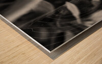 A Spider and its Web B&W Wood print