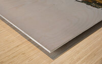 8720122 Wood print