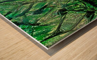 jungle green Wood print