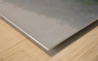 Brume Wood print