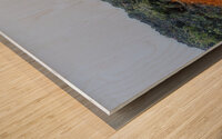 Vie au sommet Wood print