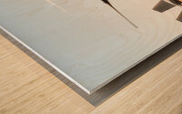 8721227 Wood print