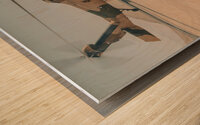 8722102 Wood print