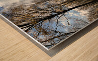 Autumnal Forest Walk Through the Scottish Highlands Wood print