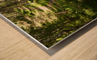 Summer Nature Path in the Scottish Highlands  Wood print