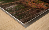 Premier gel Wood print
