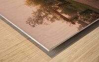 Allentown Rose Gardens Central View Wood print