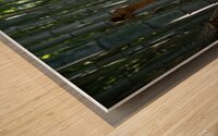 Bamboo Abstract Wood print