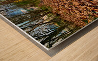 Scenes from the Trail - Fallen Leaves  Wood print