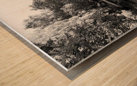  Everyday Lifes Moments - The Shed in Black and White Wood print