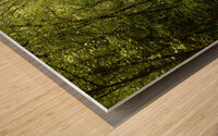 Impressionistic Nature Path Through the Scottish Highlands Wood print