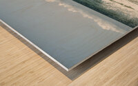 The Beauty of Virginia Beach  Wood print