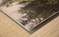 Summer Woodland in the Scottish Highlands  Wood print
