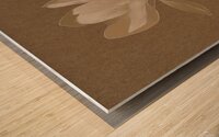 Magnolia Wood print