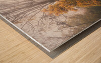 Yellow and Red Trees in Autumn Fog Wood print
