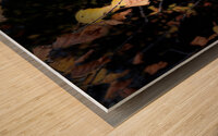 Portraits of Plants- Golden Leaves Wood print