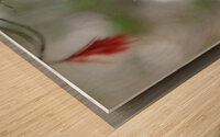Tufted Titmouse In Fall Wood print