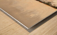Neutral Abstract Horizon Wood print