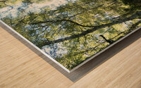 Nature Walk Through The Scottish Highlands  Wood print