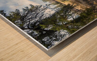 Horseshoe Bend Panorama at Pine Point Rapids Wood print