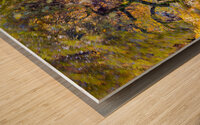Autumn Abstract V Wood print
