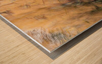 Autumn Brush Strokes Wood print