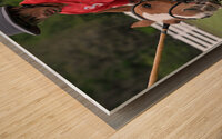 BZ9 8223 Wood print