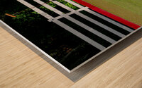 BZ9 3973 Enhanced NR Wood print