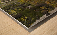 Genetic Wood print