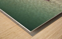 Incentive Wood print