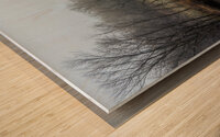 Fog by the River Wood print