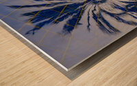Palm Tree Reflection Wood print