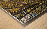 Autumns Grace in the Scottish Highlands  Wood print