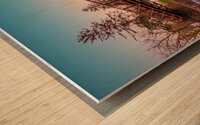 Lehigh Parkway Footbridge Below Wood print