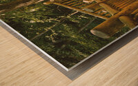 Bushkill Falls Stairs Wood print