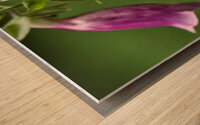 Flowers on the Oregon Trail Wood print